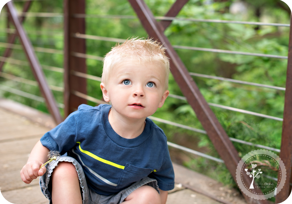 2 Year Old “C”: Utah Child Photographer