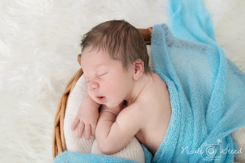 Newborn L_13