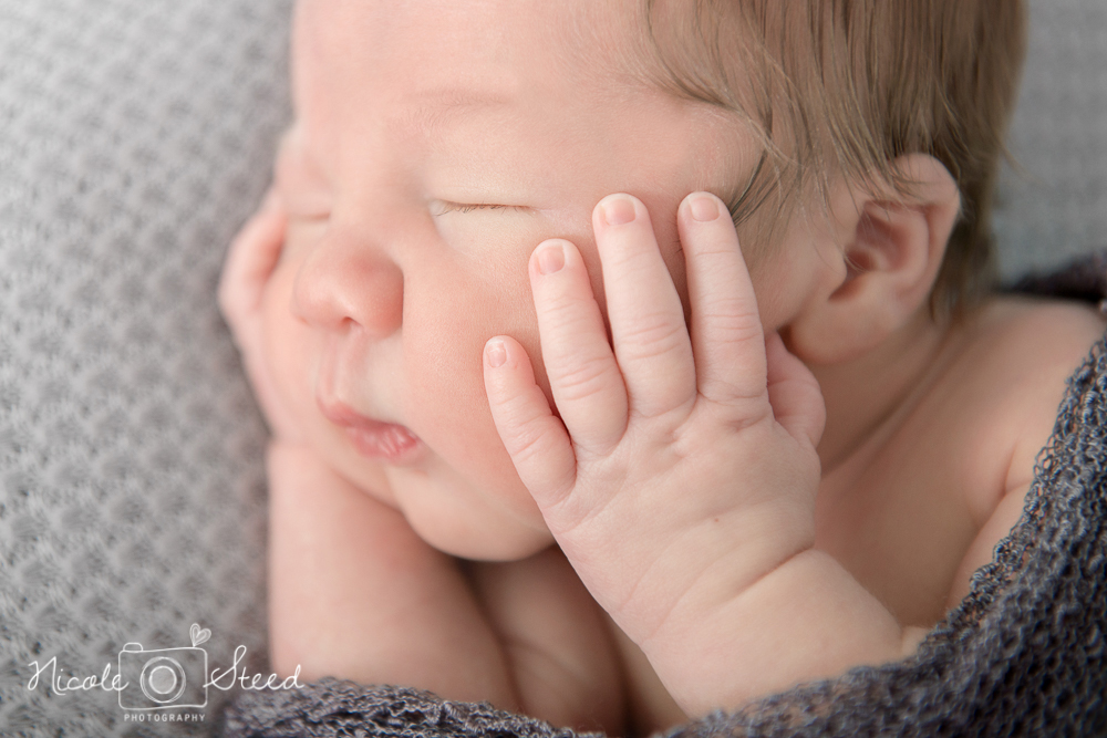 Newborn L_4