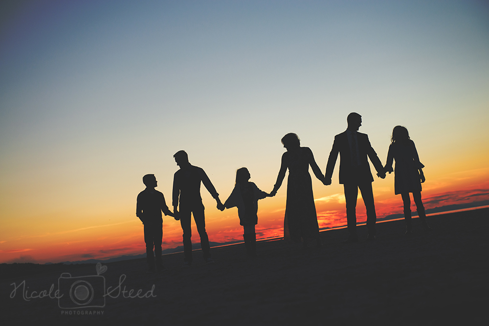 Antelope Island Utah Family Pictures