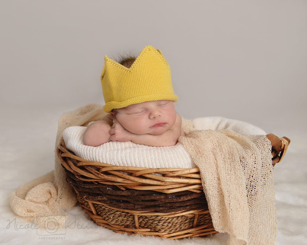 Utah Newborn Photographer