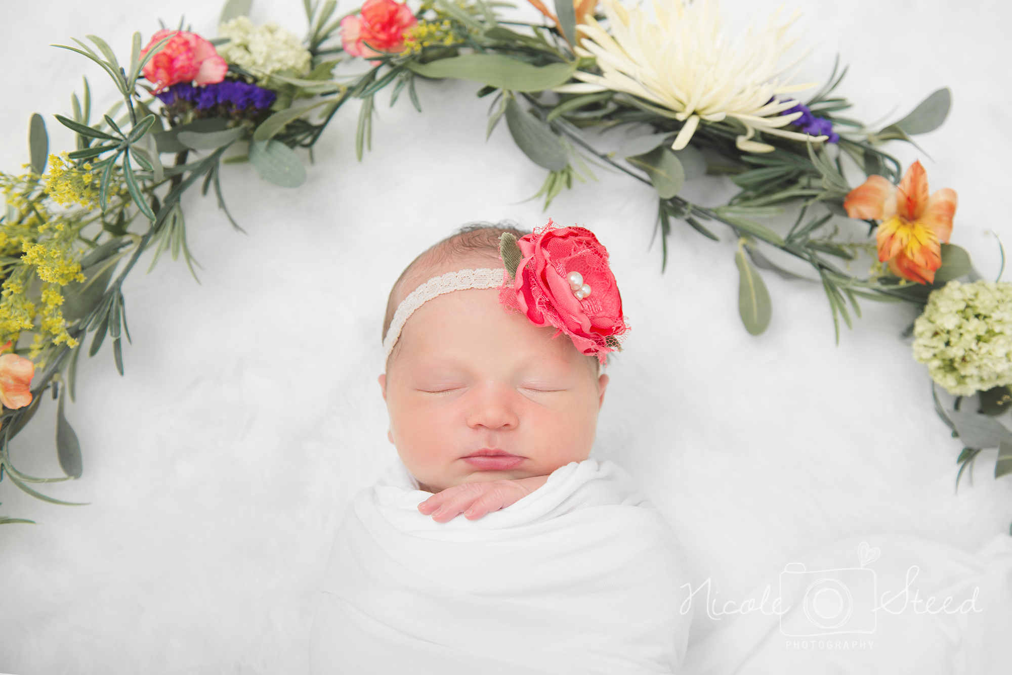 Utah Newborn Pictures Photographer