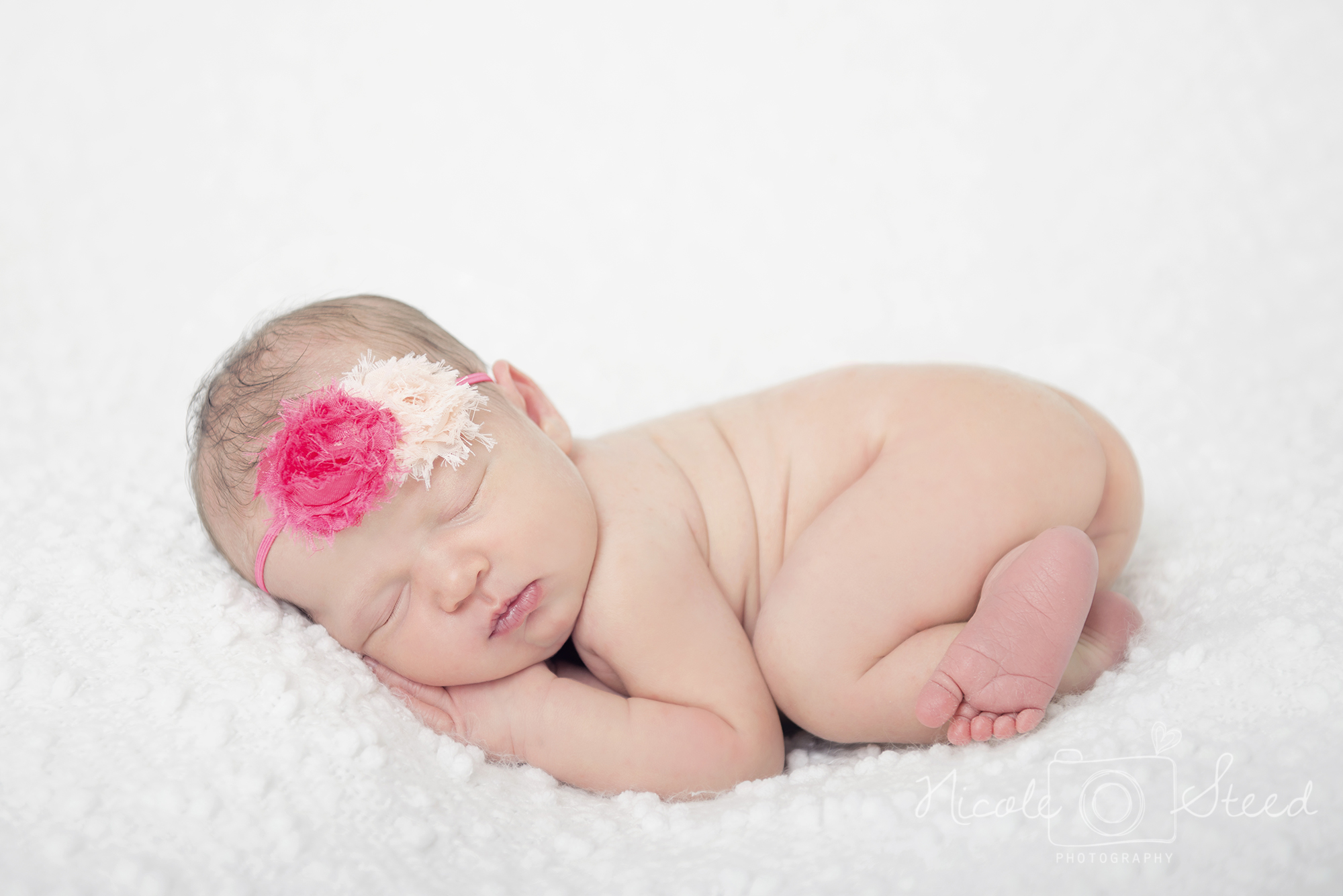 Utah Newborn Pictures Photographer