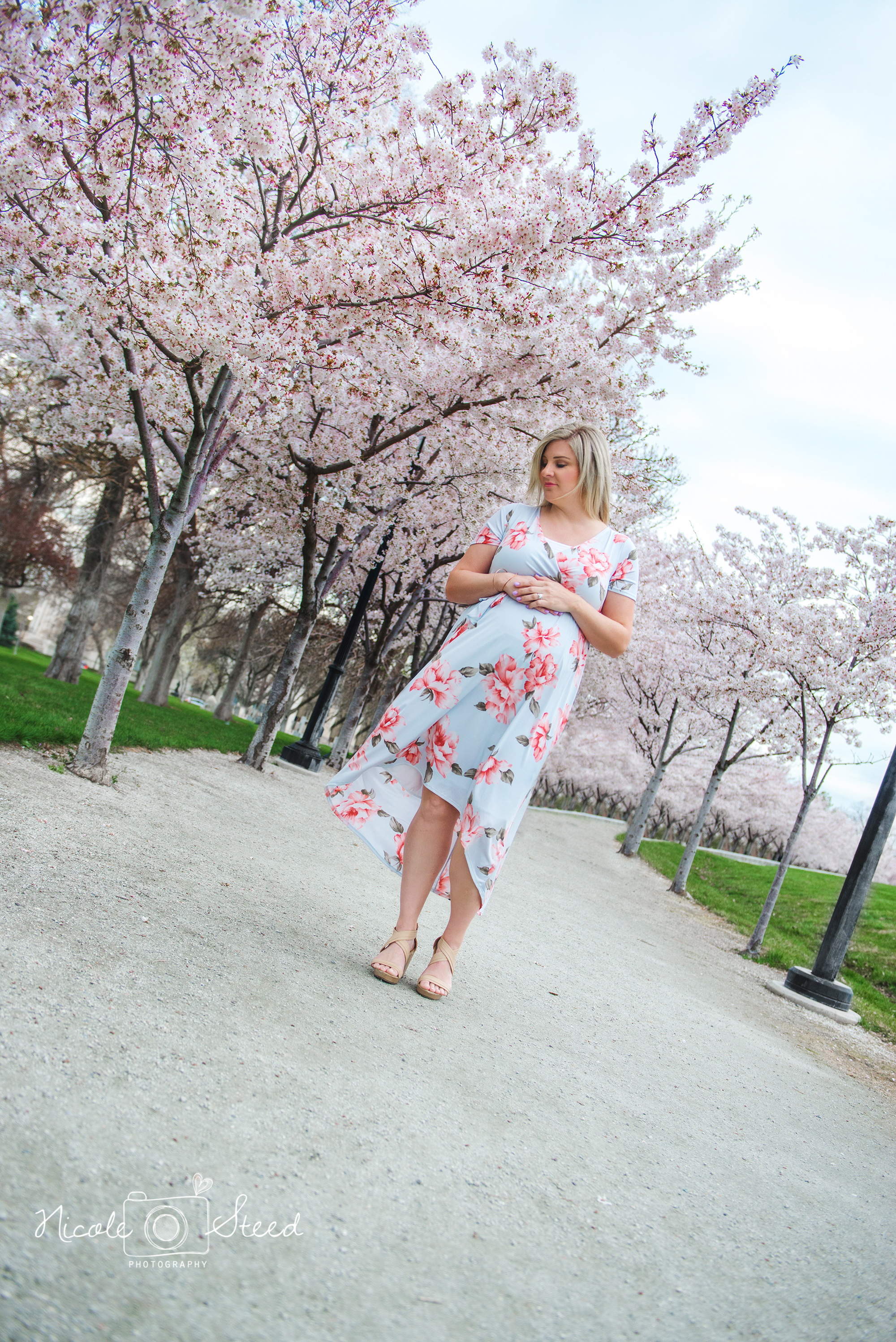 Utah Capitol Cherry Blossom Pictures