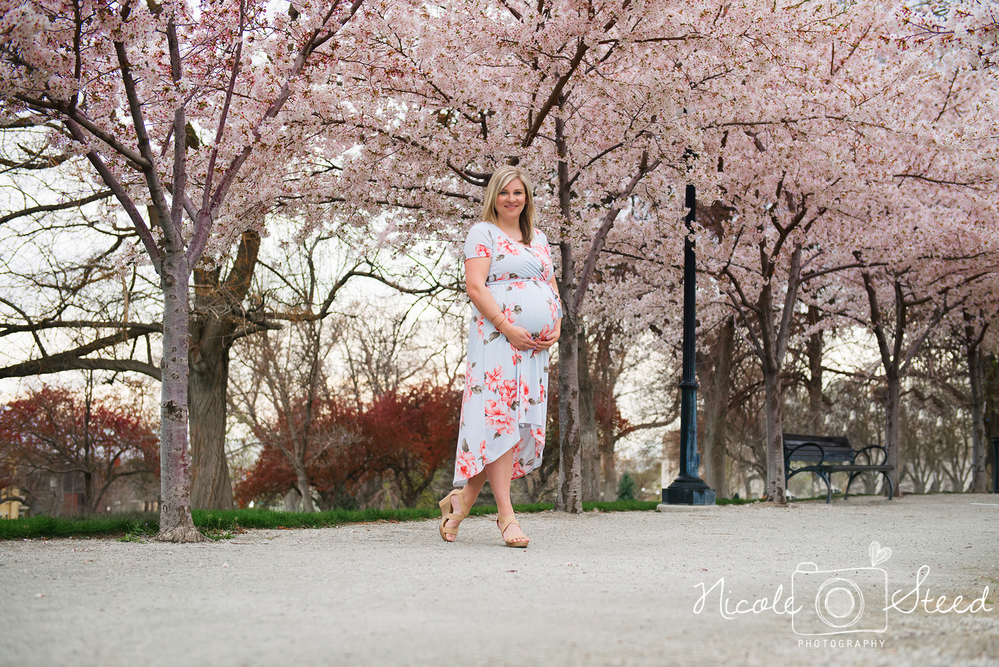 Utah Maternity Pictures