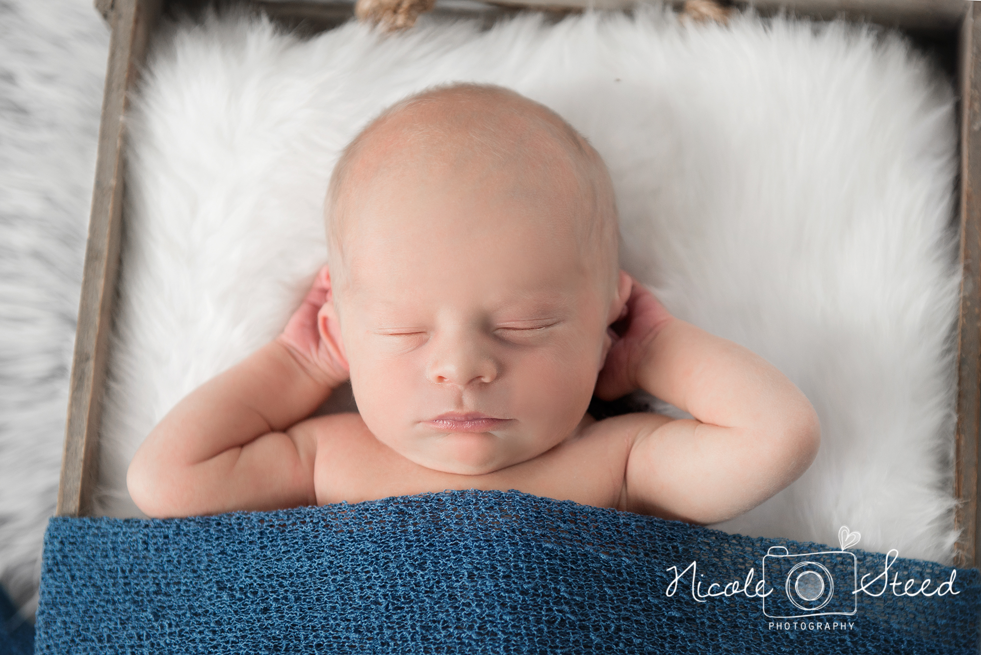 Utah Newborn Pictures