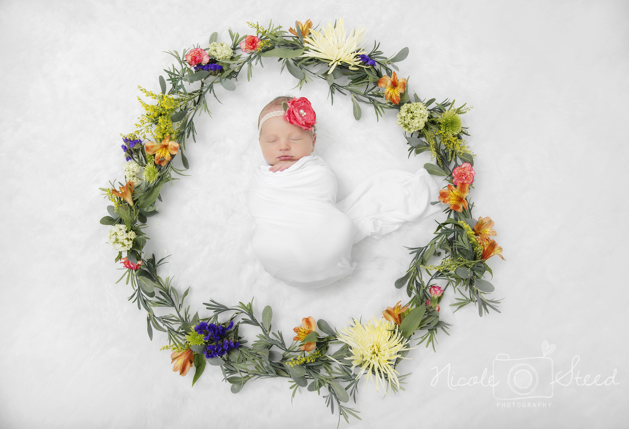 Utah Newborn Pictures Photographer