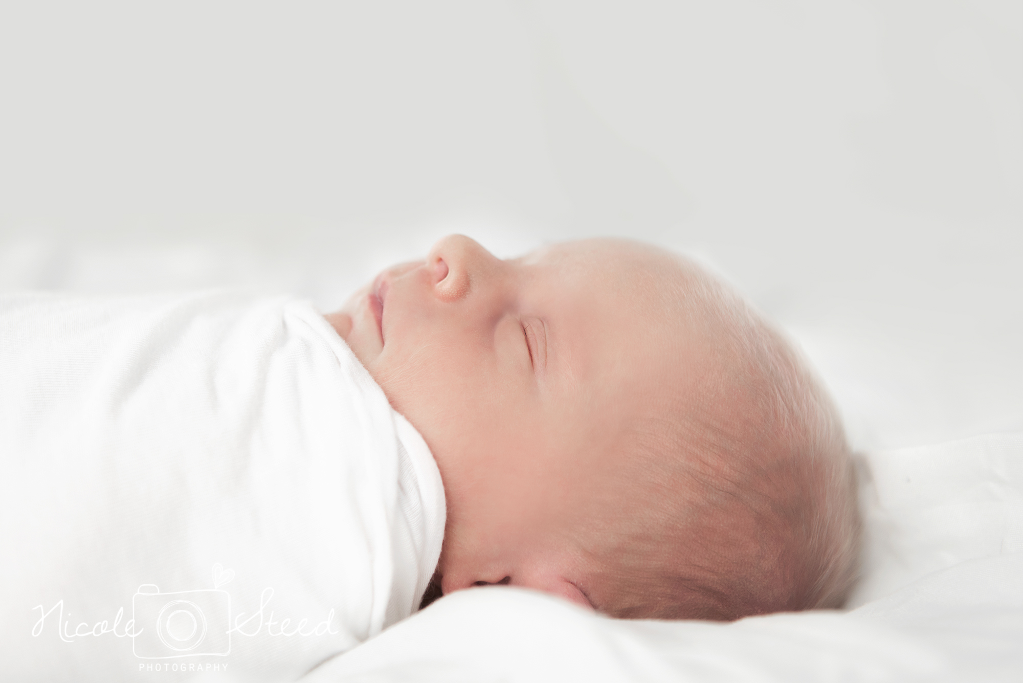 Utah Newborn Pictures