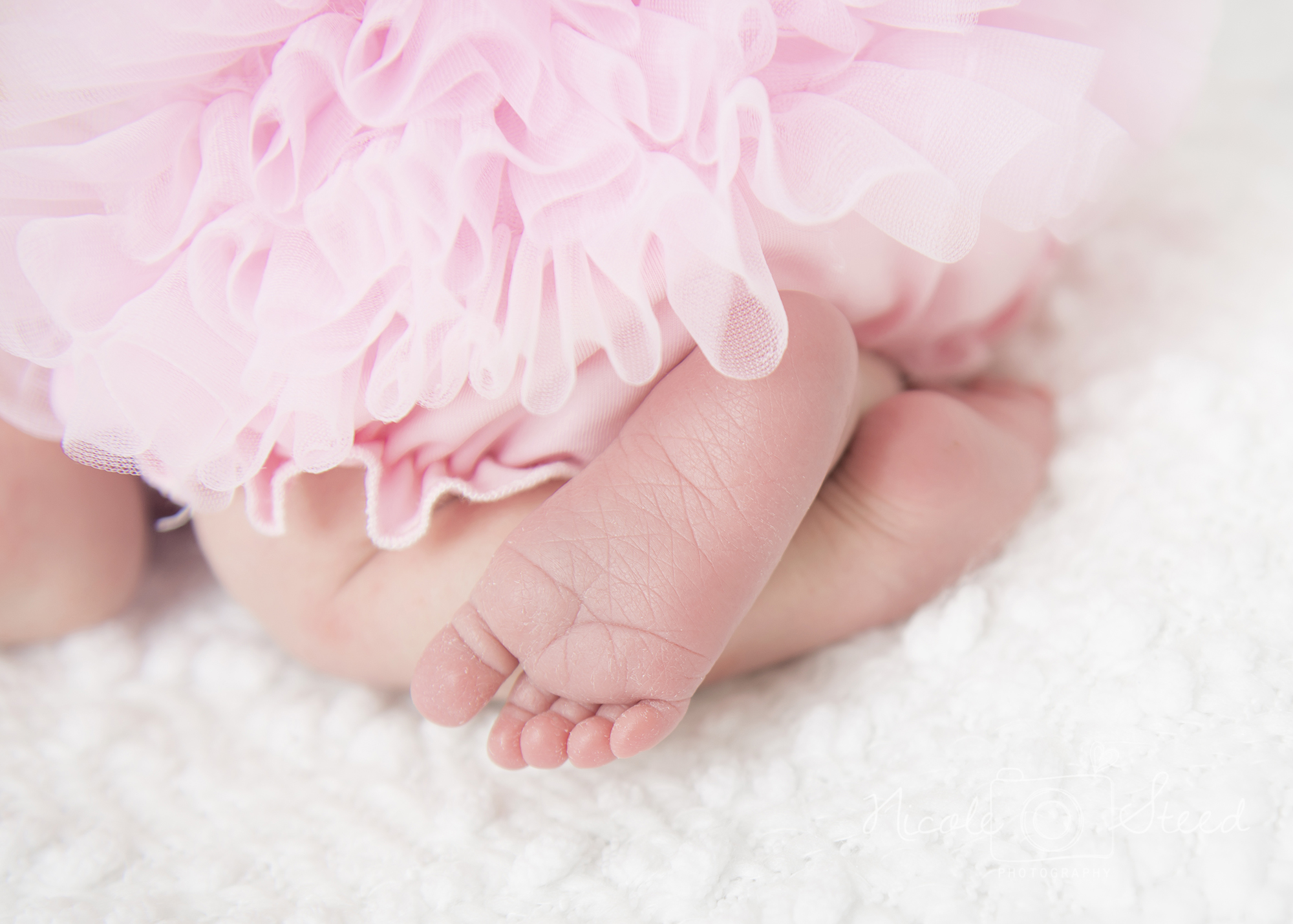 Utah Newborn Pictures Photographer